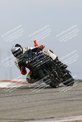 media/Feb-21-2025-Lets Ride (Fri) [[f483f33afd]]/Race Group/11am (Outside Grapevine)/
